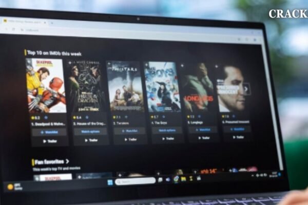 Crackstube: Exploring Digital Content Sharing and Online Media Trends